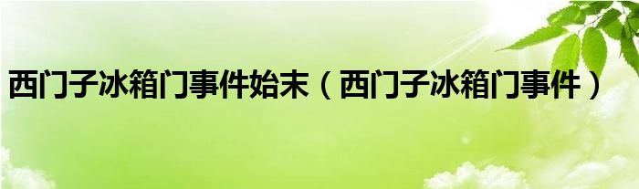 西门子冰箱门事件始末（西门子冰箱门事件）