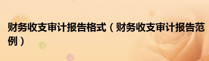 财务收支审计报告格式（财务收支审计报告范例）