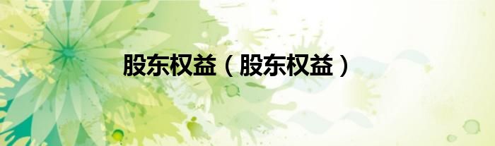 股东权益（股东权益）