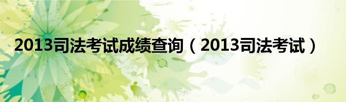 2013司法考试成绩查询（2013司法考试）