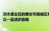 洪水退去后的雅安市雨城区草坝镇2000名干部职工上街与群众一道清淤除障