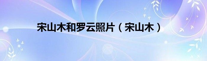 宋山木和罗云照片（宋山木）