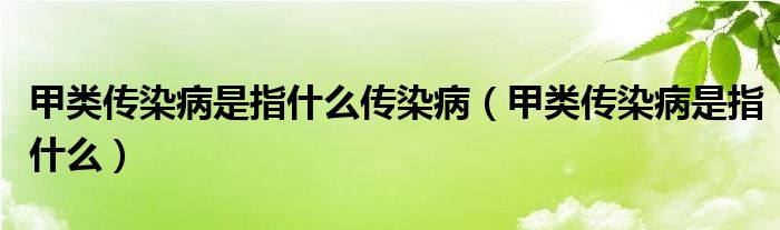 甲类传染病是指什么传染病（甲类传染病是指什么）