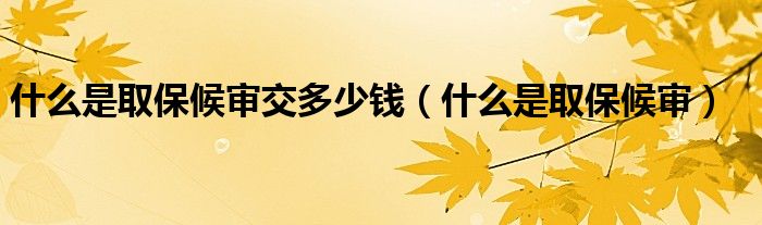 什么是取保候审交多少钱(什么是取保候审)