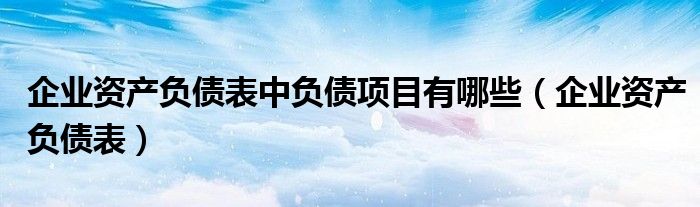 企业资产负债表中负债项目有哪些（企业资产负债表）