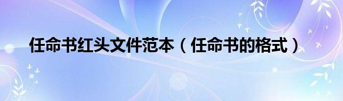任命书红头文件范本（任命书的格式）