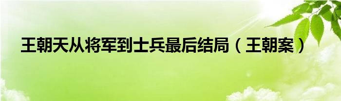 王朝天从将军到士兵最后结局（王朝案）