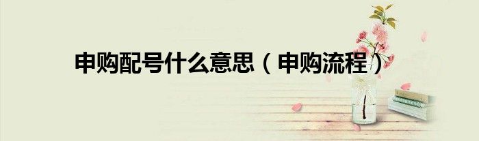 申购配号什么意思（申购流程）