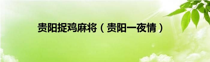 贵阳捉鸡麻将（贵阳一夜情）