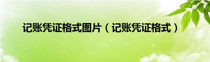 记账凭证格式图片（记账凭证格式）