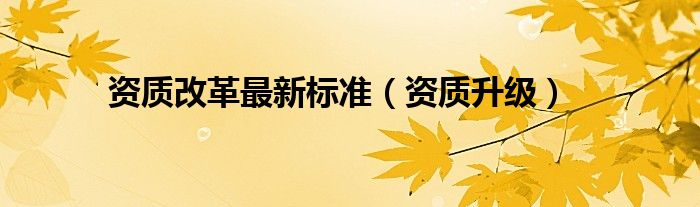 资质改革最新标准（资质升级）