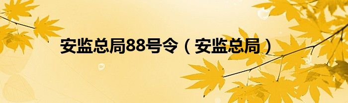 安监总局88号令（安监总局）