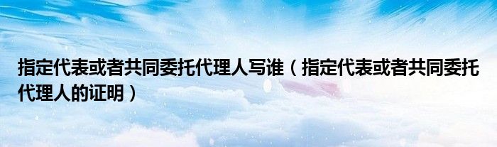 指定代表或者共同委托代理人写谁（指定代表或者共同委托代理人的证明）