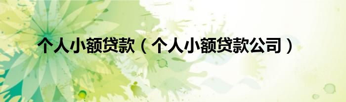 个人小额贷款（个人小额贷款公司）