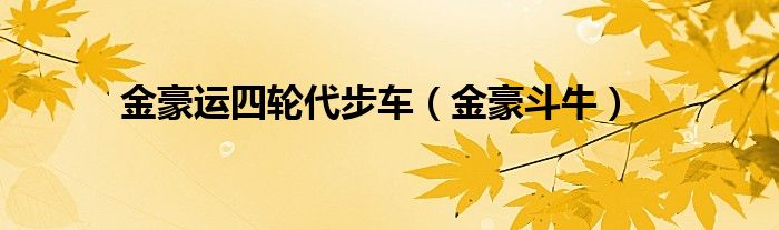 金豪运四轮代步车（金豪斗牛）