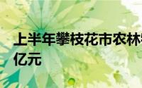 上半年攀枝花市农林牧渔业总产值实现58.58亿元
