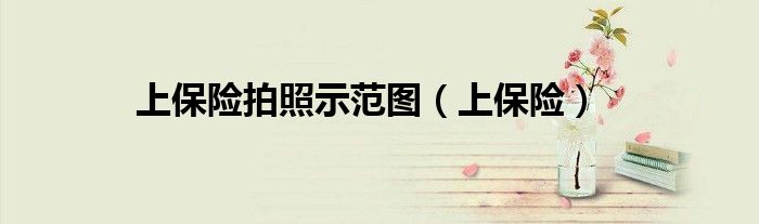 上保险拍照示范图（上保险）