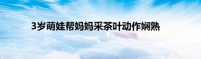 3岁萌娃帮妈妈采茶叶动作娴熟