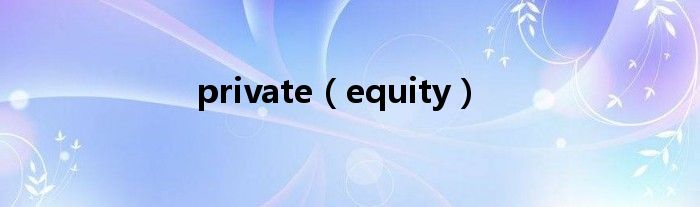 private（equity）