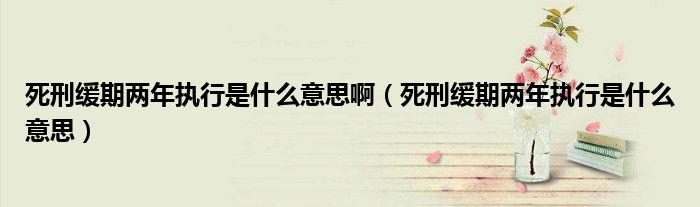 死刑缓期两年执行是什么意思啊（死刑缓期两年执行是什么意思）