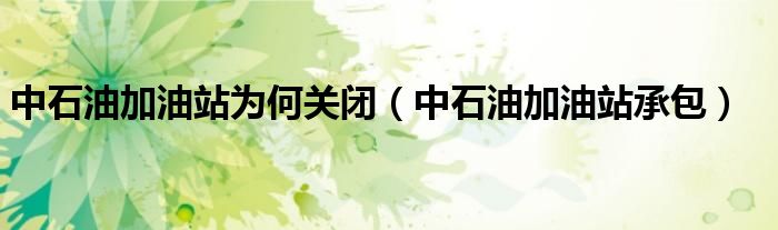 中石油加油站为何关闭（中石油加油站承包）