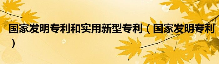 国家发明专利和实用新型专利（国家发明专利）