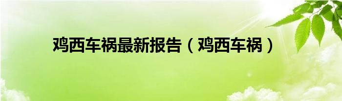 鸡西车祸最新报告（鸡西车祸）