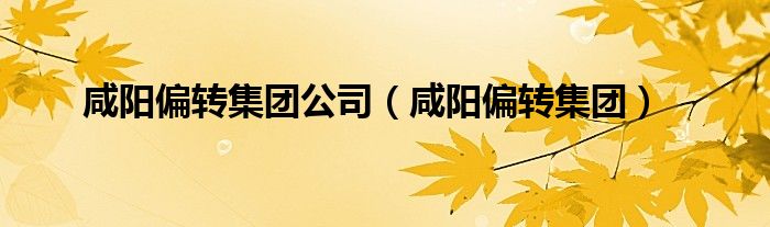 咸阳偏转集团公司（咸阳偏转集团）