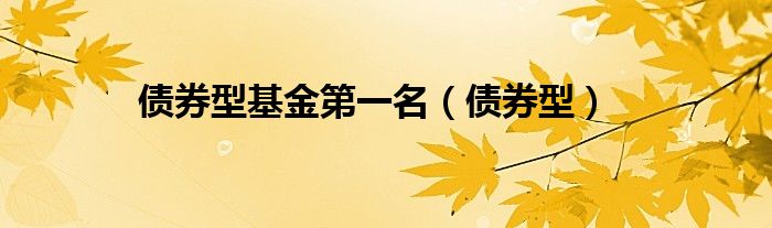 债券型基金第一名（债券型）