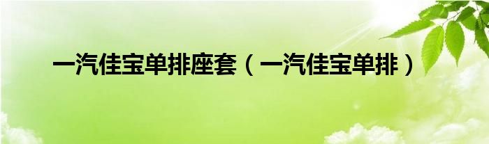 一汽佳宝单排座套（一汽佳宝单排）