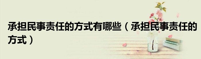 承担民事责任的方式有哪些（承担民事责任的方式）
