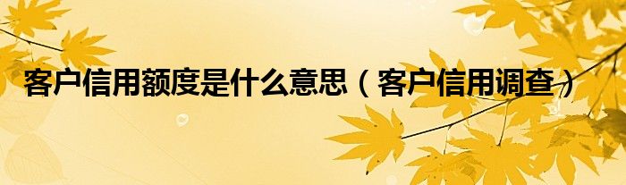 客户信用额度是什么意思（客户信用调查）