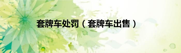 套牌车处罚（套牌车出售）