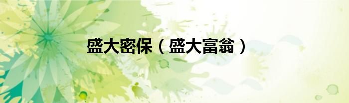 盛大密保（盛大富翁）