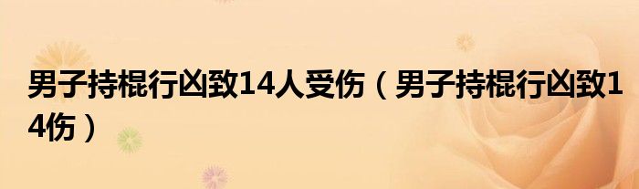 男子持棍行凶致14人受伤（男子持棍行凶致14伤）