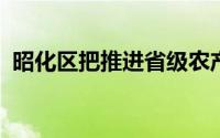 昭化区把推进省级农产品加工示范园区建设
