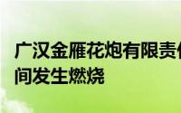 广汉金雁花炮有限责任公司南丰生产区引线车间发生燃烧