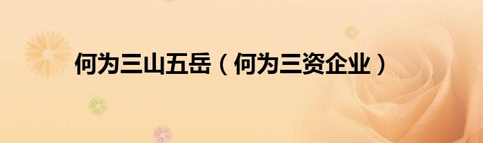 何为三山五岳（何为三资企业）