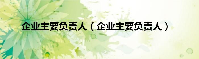企业主要负责人（企业主要负责人）