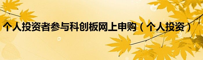 个人投资者参与科创板网上申购（个人投资）