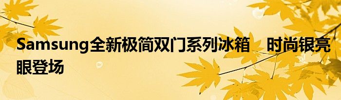 Samsung全新极简双门系列冰箱　时尚银亮眼登场