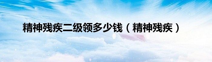 精神残疾二级领多少钱（精神残疾）