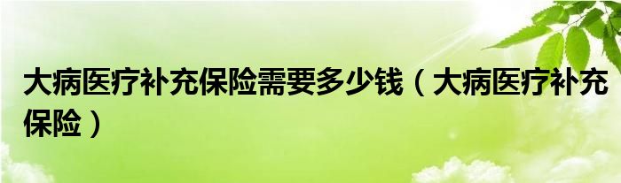 大病医疗补充保险需要多少钱（大病医疗补充保险）