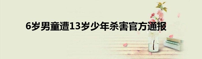 6岁男童遭13岁少年杀害官方通报