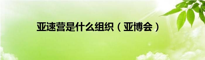 亚速营是什么组织（亚博会）
