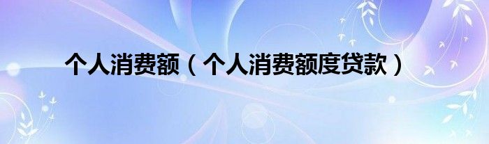 个人消费额（个人消费额度贷款）