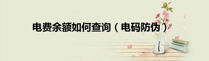 电费余额如何查询（电码防伪）