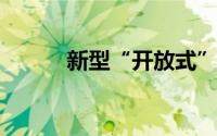 新型“开放式”结构锂电池材料