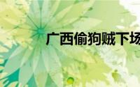 广西偷狗贼下场（广西偷狗贼）