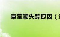 章莹颖失踪原因（章莹颖失踪案开庭）